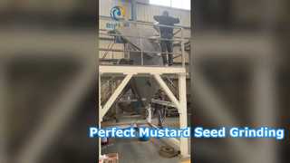 Pin mill untuk menggiling biji sawi