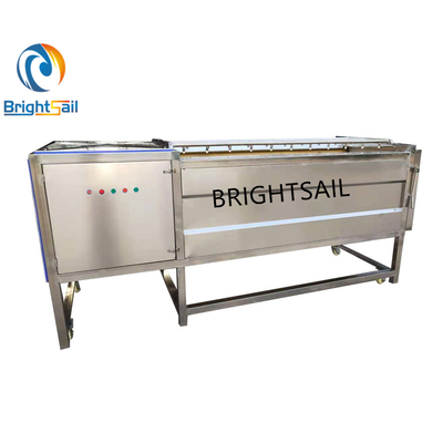 Mesin cuci jahe pabrik industri di mesin cuci dari Brightsail