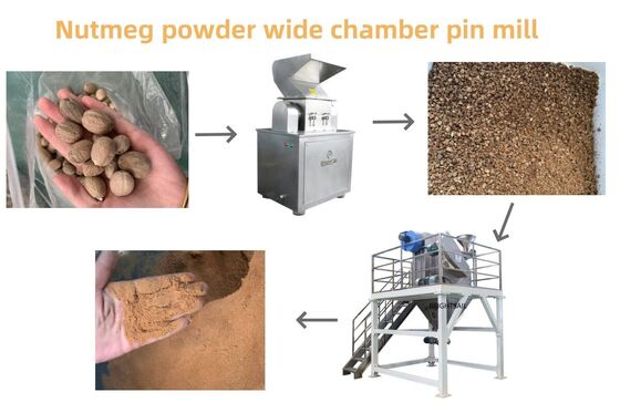 Mesin Penggiling Biji Sawi Pin Mill Powder Mill untuk Minyak Biji dan Rempah
