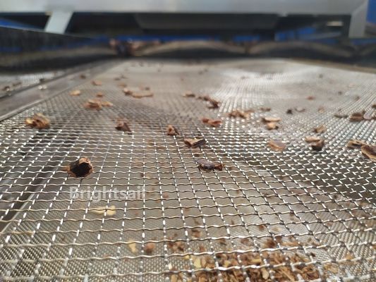 5.5kw Industri Makanan Carob Ss304 Mesin Sortasi Benih 99 Persen Biji Dihapus